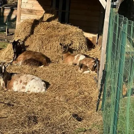 Hébergement de vacances Baie De Somme à 5 Mn De La Chez Nath&jack Woignarue